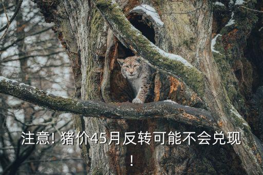 注意! 豬價45月反轉可能不會兌現(xiàn)!