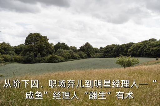 從階下囚、職場棄兒到明星經(jīng)理人—“咸魚”經(jīng)理人“翻生”有術(shù)