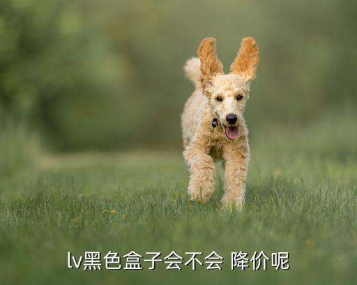 LV中國內(nèi)地不降價(jià)