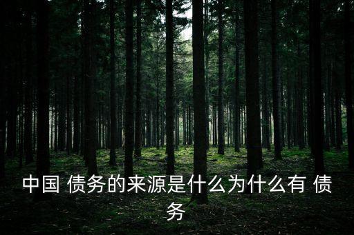 中國 債務的來源是什么為什么有 債務