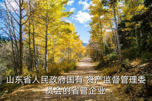 山東省人民政府國有 資產(chǎn)監(jiān)督管理委員會(huì)的省管企業(yè)