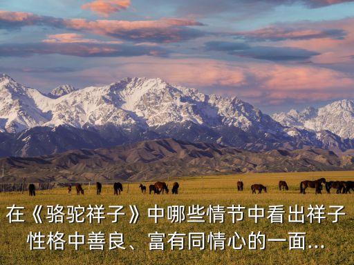 在《駱駝祥子》中哪些情節(jié)中看出祥子性格中善良、富有同情心的一面...