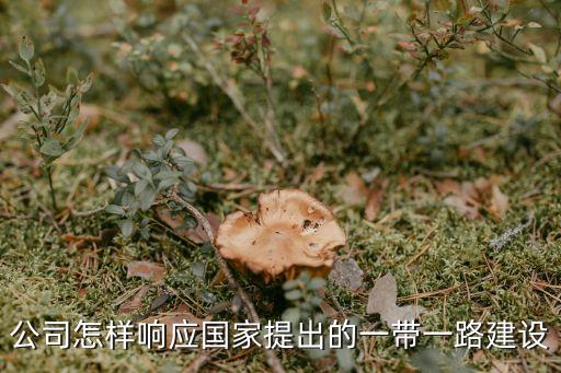 公司怎樣響應國家提出的一帶一路建設(shè)
