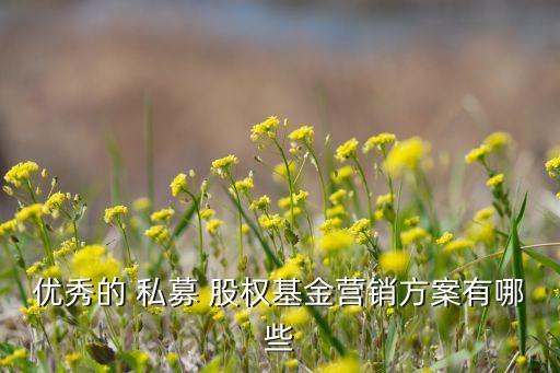 優(yōu)秀的 私募 股權(quán)基金營(yíng)銷方案有哪些