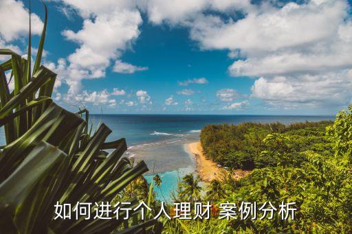 如何進(jìn)行個人理財 案例分析