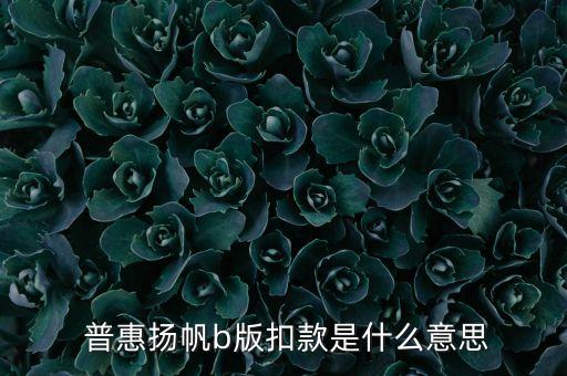  普惠揚帆b版扣款是什么意思