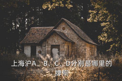  上海滬A、B、C、D分別是哪里的 牌照