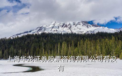  上海華龍證券股票咨詢(xún)有限公司有沒(méi)有