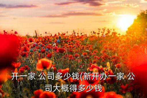 開(kāi)一家 公司多少錢(qián)(新開(kāi)辦一家 公司大概得多少錢(qián)