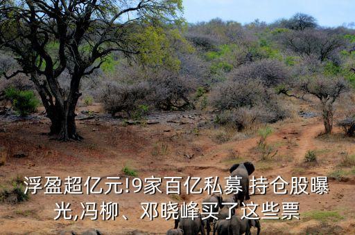 浮盈超億元!9家百億私募 持倉股曝光,馮柳、鄧曉峰買了這些票