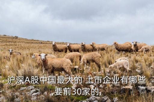 滬深A(yù)股中國最大的 上市企業(yè)有哪些,要前30家的,