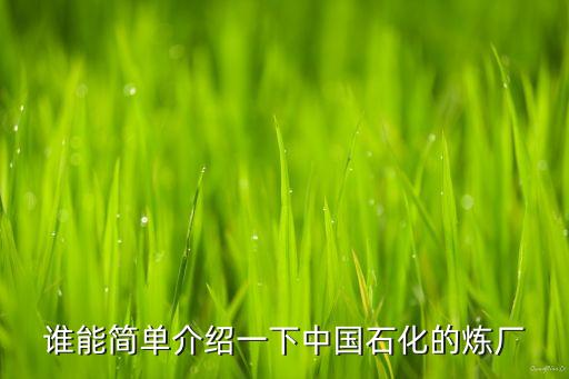 誰(shuí)能簡(jiǎn)單介紹一下中國(guó)石化的煉廠(chǎng)