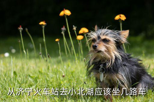從濟(jì)寧火車(chē)站去小北湖應(yīng)該坐幾路車(chē)