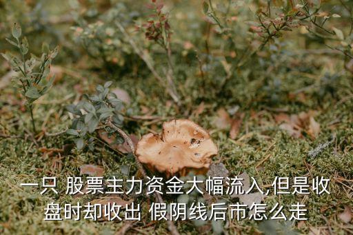 一只 股票主力資金大幅流入,但是收盤(pán)時(shí)卻收出 假陰線后市怎么走