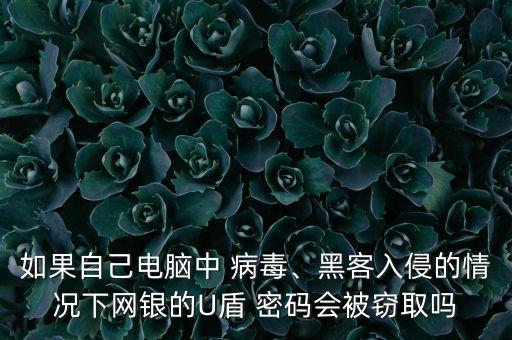 如果自己電腦中 病毒、黑客入侵的情況下網(wǎng)銀的U盾 密碼會(huì)被竊取嗎