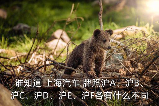誰知道 上海汽車 牌照滬A、滬B、滬C、滬D、滬E、滬F各有什么不同