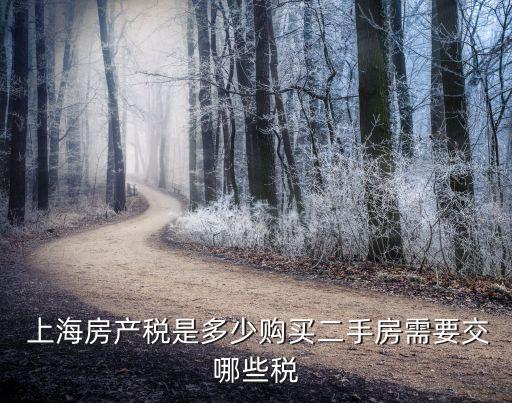  上海房產(chǎn)稅是多少購(gòu)買二手房需要交哪些稅