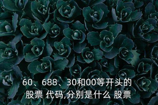 60、688、30和00等開(kāi)頭的 股票 代碼,分別是什么 股票
