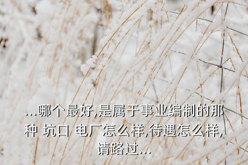 ...哪個(gè)最好,是屬于事業(yè)編制的那種 坑口 電廠怎么樣,待遇怎么樣,請(qǐng)路過(guò)...