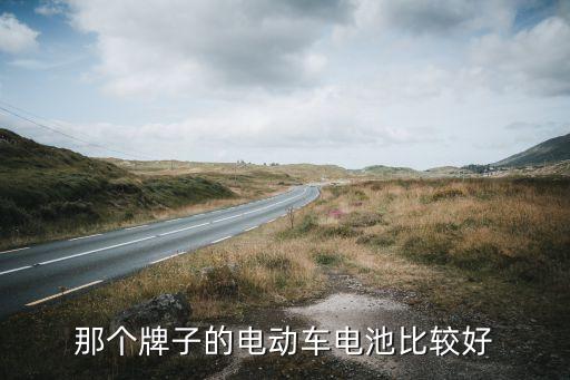 那個(gè)牌子的電動車電池比較好