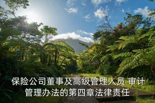  保險(xiǎn)公司董事及高級管理人員 審計(jì)管理辦法的第四章法律責(zé)任