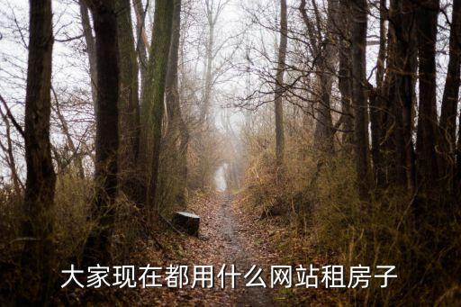大家現在都用什么網站租房子