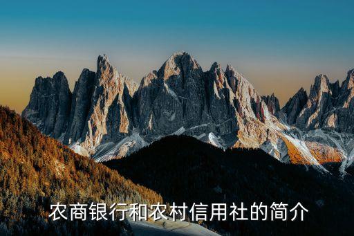 禾城農商銀行2012年信息披露報告