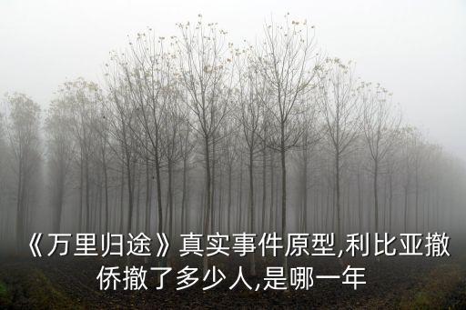 《萬里歸途》真實(shí)事件原型,利比亞撤僑撤了多少人,是哪一年