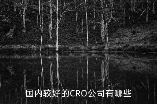國內較好的CRO公司有哪些