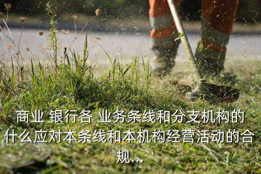 商業(yè) 銀行各 業(yè)務條線和分支機構的什么應對本條線和本機構經營活動的合規(guī)...