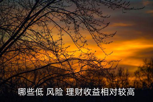 哪些低 風(fēng)險 理財(cái)收益相對較高