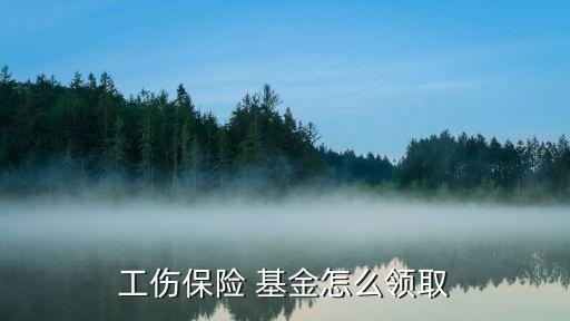 工傷保險 基金怎么領取