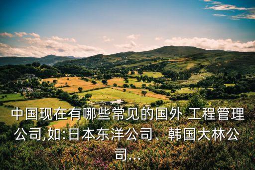 中國現(xiàn)在有哪些常見的國外 工程管理公司,如:日本東洋公司、韓國大林公司...