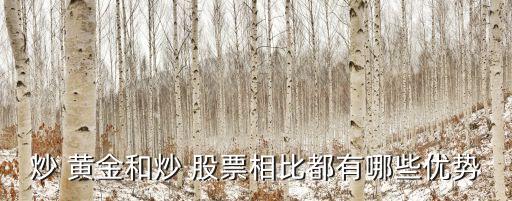 紙黃金和股票哪個好,哪個銀行有紙黃金業(yè)務