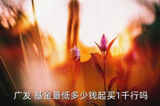  廣發(fā) 基金最低多少錢(qián)起買(mǎi)1千行嗎