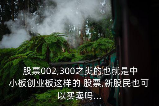 中小版塊股票怎么買,5月股票買哪個版塊最好