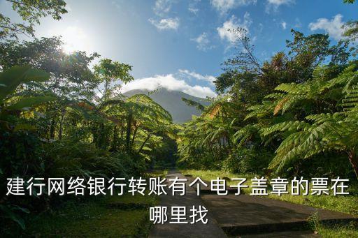 建行網(wǎng)絡銀行轉(zhuǎn)賬有個電子蓋章的票在哪里找