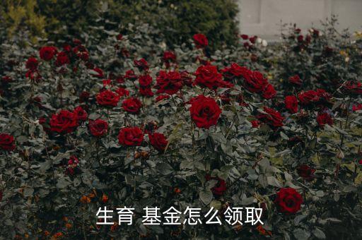 生育 基金怎么領取