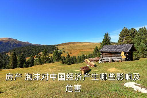 房產(chǎn) 泡沫對中國經(jīng)濟(jì)產(chǎn)生哪些影響及危害