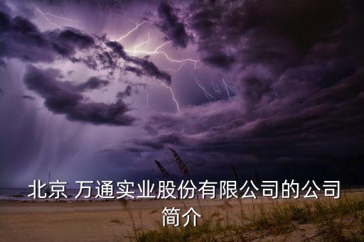  北京 萬通實(shí)業(yè)股份有限公司的公司簡介