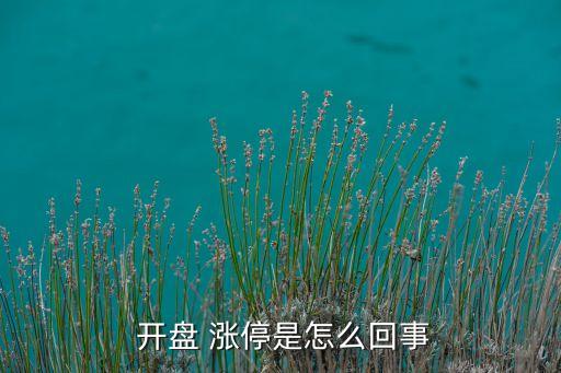  開(kāi)盤(pán) 漲停是怎么回事