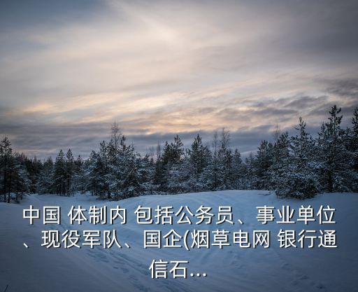 中國 體制內(nèi) 包括公務(wù)員、事業(yè)單位、現(xiàn)役軍隊、國企(煙草電網(wǎng) 銀行通信石...