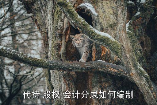 持有待售股權(quán)投資會計處理,關于企業(yè)持有的股權(quán)投資會計處理的表述中