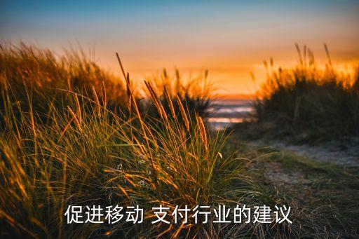 促進(jìn)移動 支付行業(yè)的建議