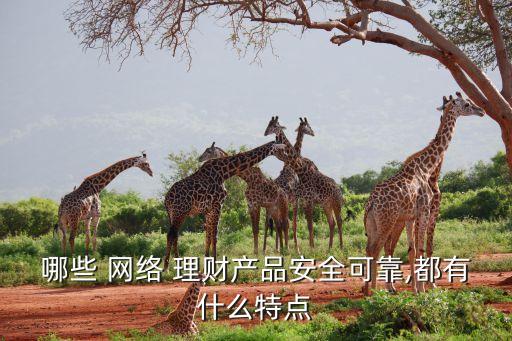 哪些 網(wǎng)絡 理財產(chǎn)品安全可靠,都有什么特點