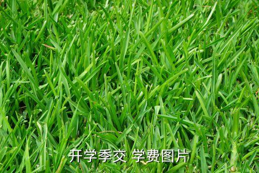 銀行繳學(xué)費(fèi)熱潮,手機(jī)銀行繳學(xué)費(fèi)流程