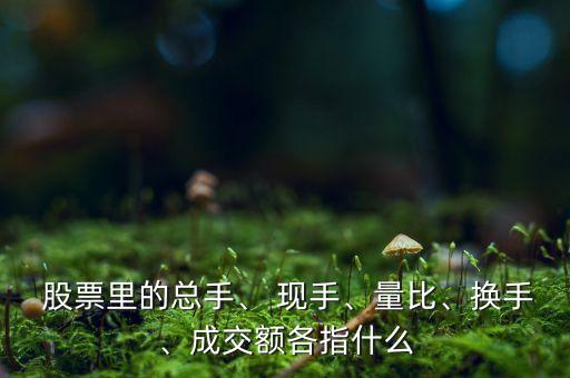 股票里的總手、 現(xiàn)手、量比、換手、成交額各指什么