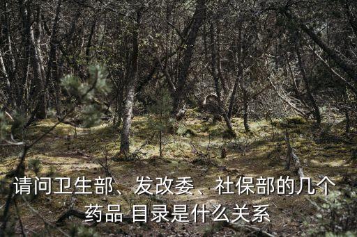 請(qǐng)問(wèn)衛(wèi)生部、發(fā)改委、社保部的幾個(gè) 藥品 目錄是什么關(guān)系