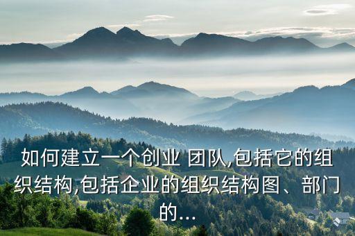 如何建立一個創(chuàng)業(yè) 團隊,包括它的組織結構,包括企業(yè)的組織結構圖、部門的...