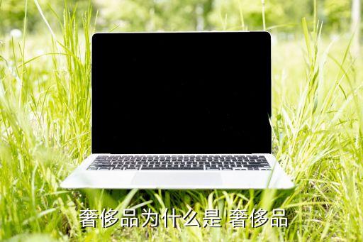 中國人奢侈品消費(fèi)特點